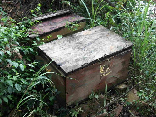 深圳市原生態(tài)科技有限公司